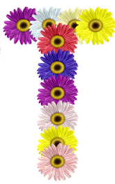 fleur-89956565865856-20.png