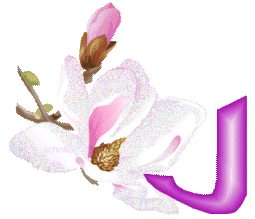 fleur-9000-10.gif