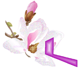 fleur-9000-12.gif