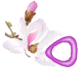 fleur-9000-15.gif