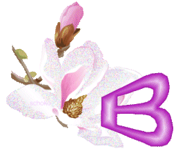 fleur-9000-2.gif