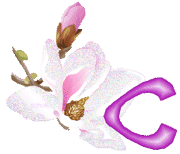 fleur-9000-3.gif