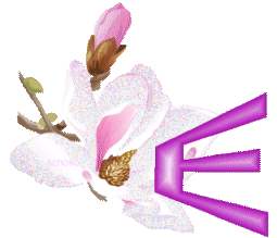 fleur-9000-5.gif