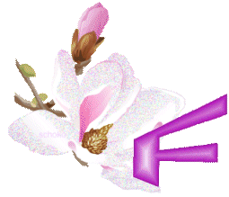 fleur-9000-6.gif