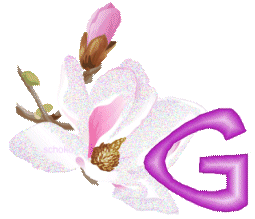 fleur-9000-7.gif