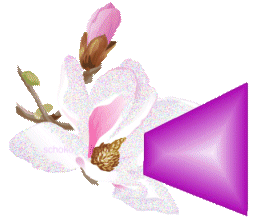 fleur-9000-9.gif