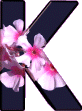 fleur-hh59549500y0-11.gif