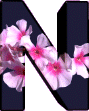 fleur-hh59549500y0-14.gif