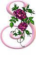 fleurs-3322k23k2l3320-16.gif