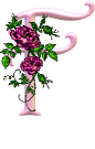 fleurs-3322k23k2l3320-9.gif