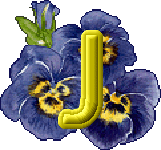 fleurs-430rtt8t8rt8r-10.gif