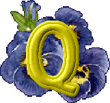 fleurs-430rtt8t8rt8r-17.gif