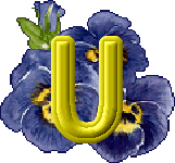 fleurs-430rtt8t8rt8r-21.gif