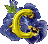 fleurs-430rtt8t8rt8r-3.gif