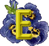 fleurs-430rtt8t8rt8r-5.gif