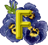 fleurs-430rtt8t8rt8r-6.gif