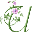 fleurs-fd9g9fgh8hgh7h7-21.gif