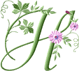 fleurs-fd9g9fgh8hgh7h7-8.gif