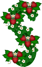 fraise-54865658-19.png