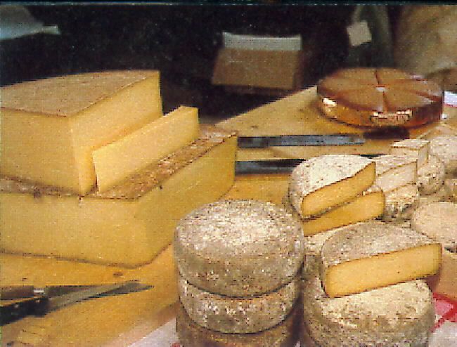 fromage-113_1.jpg