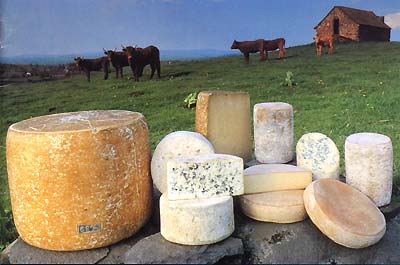 fromage-126.jpg