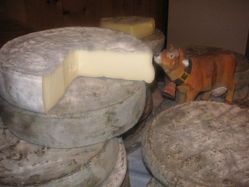 fromage-45_1.jpg