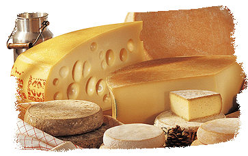 fromage-66967997697791.gif