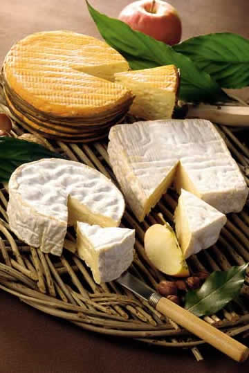 fromage-92.jpg