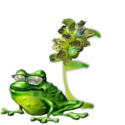 frooggy-88990-5.jpg