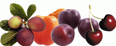 fruit-126.gif