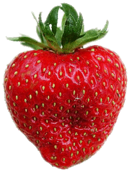 fruit-128.gif