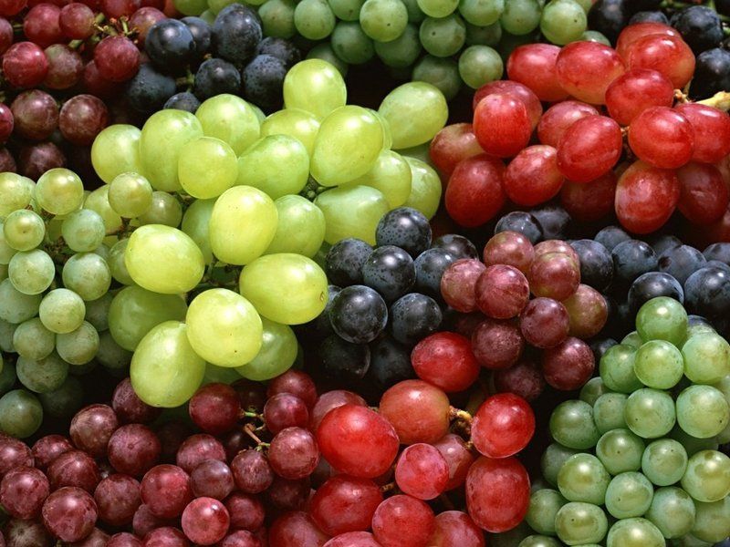 fruit-13.jpg