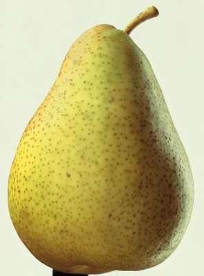 fruit-14.jpg