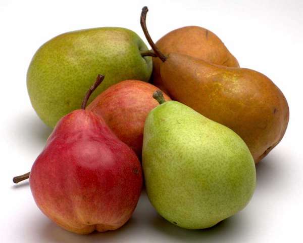 fruit-142.jpg