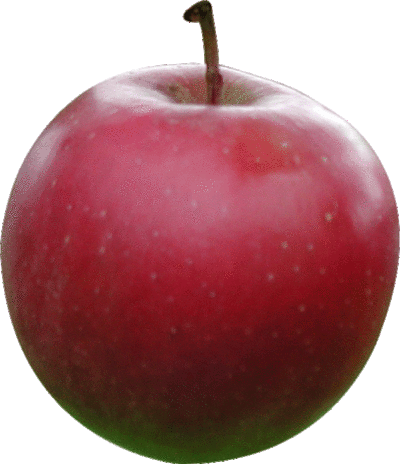 fruit-29096554.gif