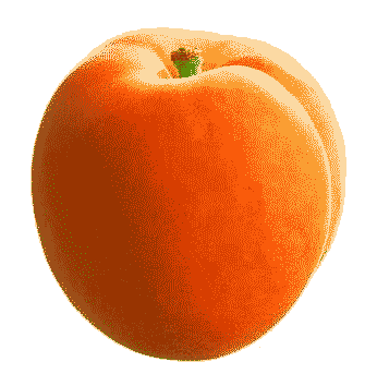 fruit-476878870.gif