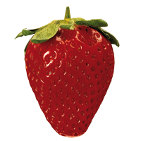 fruit-67_1.gif