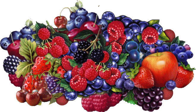 fruit-68.gif