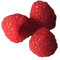 fruit-68_1.gif