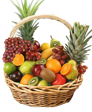 fruit-8556797697.gif