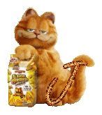 garfield-7788888-10.gif