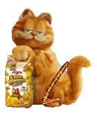 garfield-7788888-12.gif