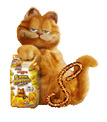 garfield-7788888-19.gif