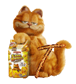 garfield-7788888-20.gif