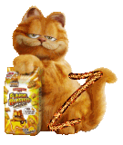 garfield-7788888-26.gif