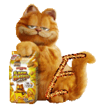 garfield-7788888-5.gif