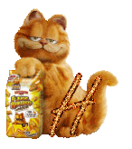 garfield-7788888-8.gif