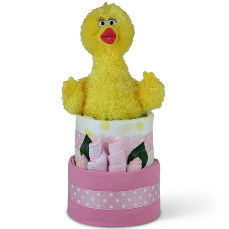 gift-baskets-big-bird-girl_1.jpg