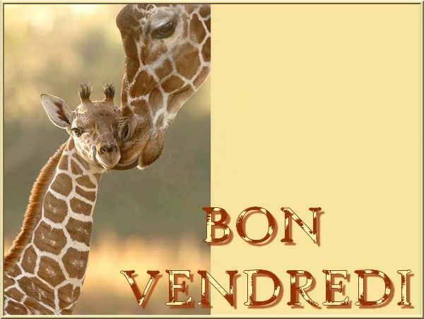 girafe_etgirafon_5bonvendredi_1.jpg