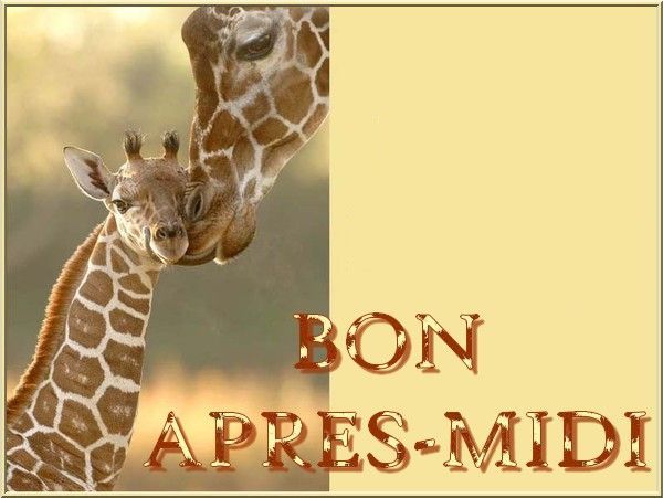 girafe_etgirafon_apresmidibon_1.jpg